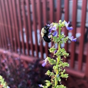 Meet your Posher, Ty